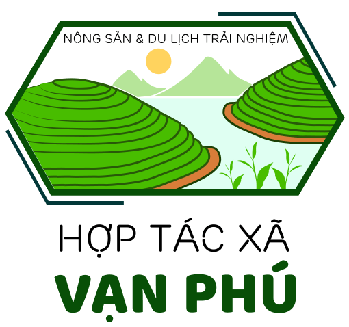 HTX Vạn Phú